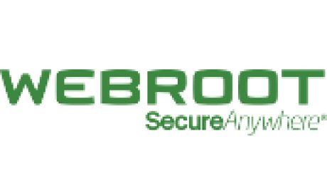 Webroot SecureAnywhere AntiVirus 2022 Key (6 Months / 1 Device)