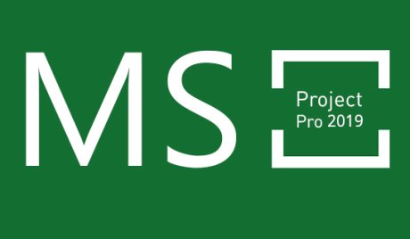 MS Project Professional 2019 CD Key
