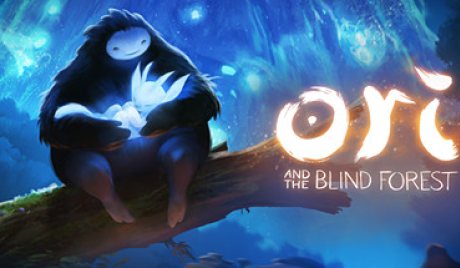 Ori and the Blind Forest: Definitive Edition Nintendo Switch Access
