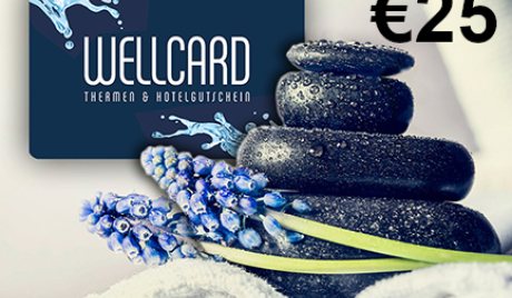 WellCard €25 Gift Card DE