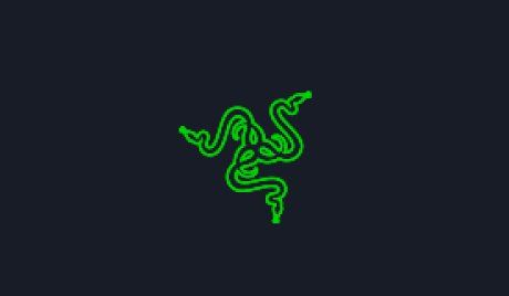 Razer Gold $11 US