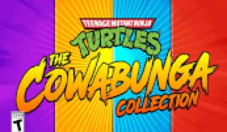 Teenage Mutant Ninja Turtles: The Cowabunga Collection TR Steam CD Key