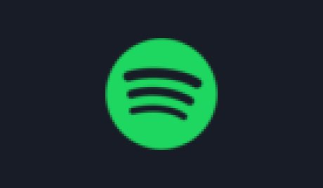 Spotify Premium 10-month Subscription ACCOUNT