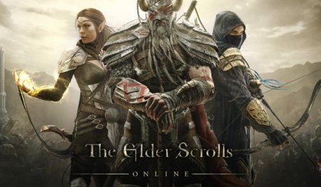 The Elder Scrolls Online - Morthal Jarl Finery Costume DLC PC Digital Download CD Key