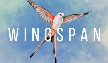 Wingspan AR XBOX One CD Key