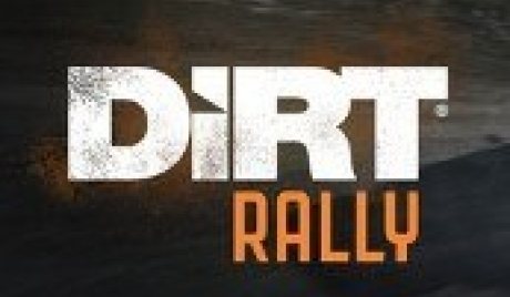 DiRT Rally CN VPN Activated PC Steam CD Key