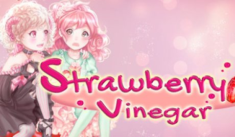 Strawberry Vinegar EU (without DE/NL/PL/AT) Nintendo Switch CD Key
