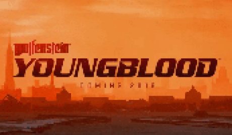 Wolfenstein: Youngblood PC Steam Account