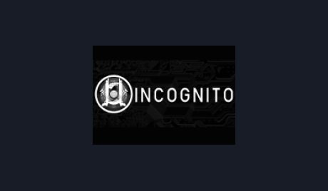 Incognito Steam CD Key