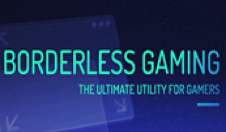 Borderless Gaming Steam Gift