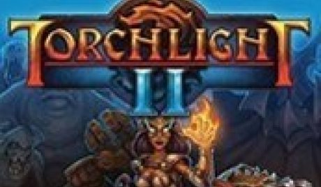 Torchlight II PC Steam Account