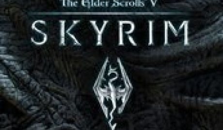 The Elder Scrolls V: Skyrim Nintendo Switch Access