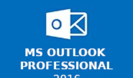 MS Outlook Professional 2016	 CD Key