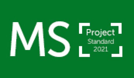 MS Project Standard 2021 CD Key