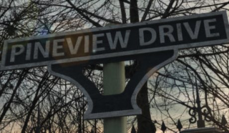 Pineview Drive EU PC Steam CD Key