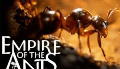 Empire of the Ants PC Steam Account