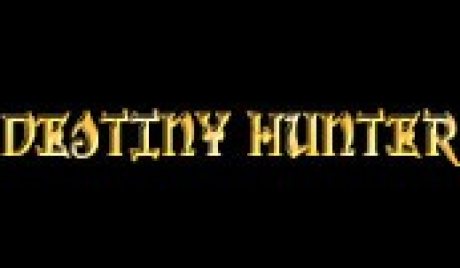 Destiny Hunter PC Steam CD Key