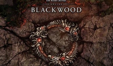 The Elder Scrolls Online - Blackwood Upgrade XBOX One / Xbox Series X|S CD Key
