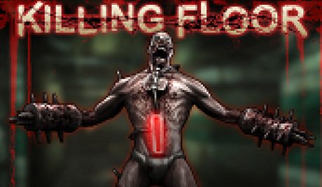 Killing Floor PC Steam Account