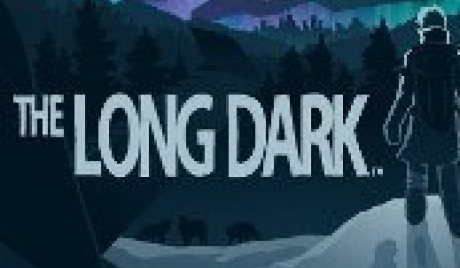 The Long Dark: Survival Mode PC Steam Account