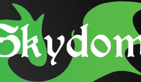 Skydom Steam CD Key