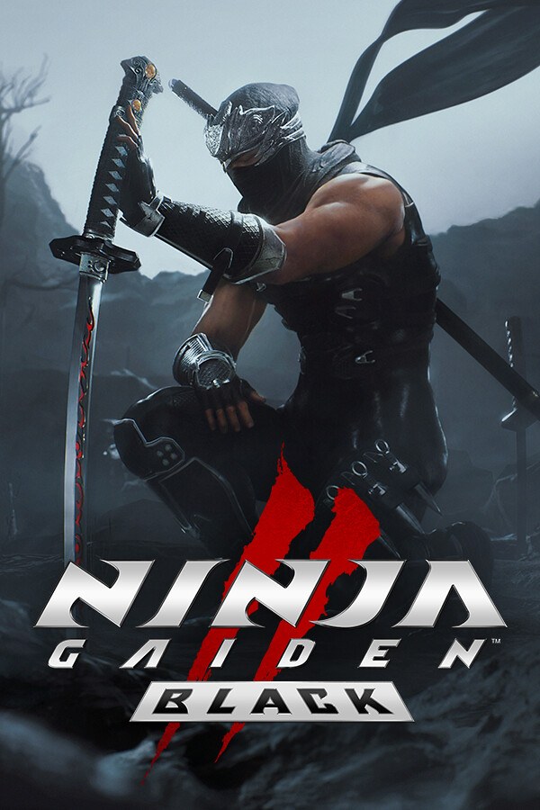NINJA GAIDEN 2 Black PC Steam Account